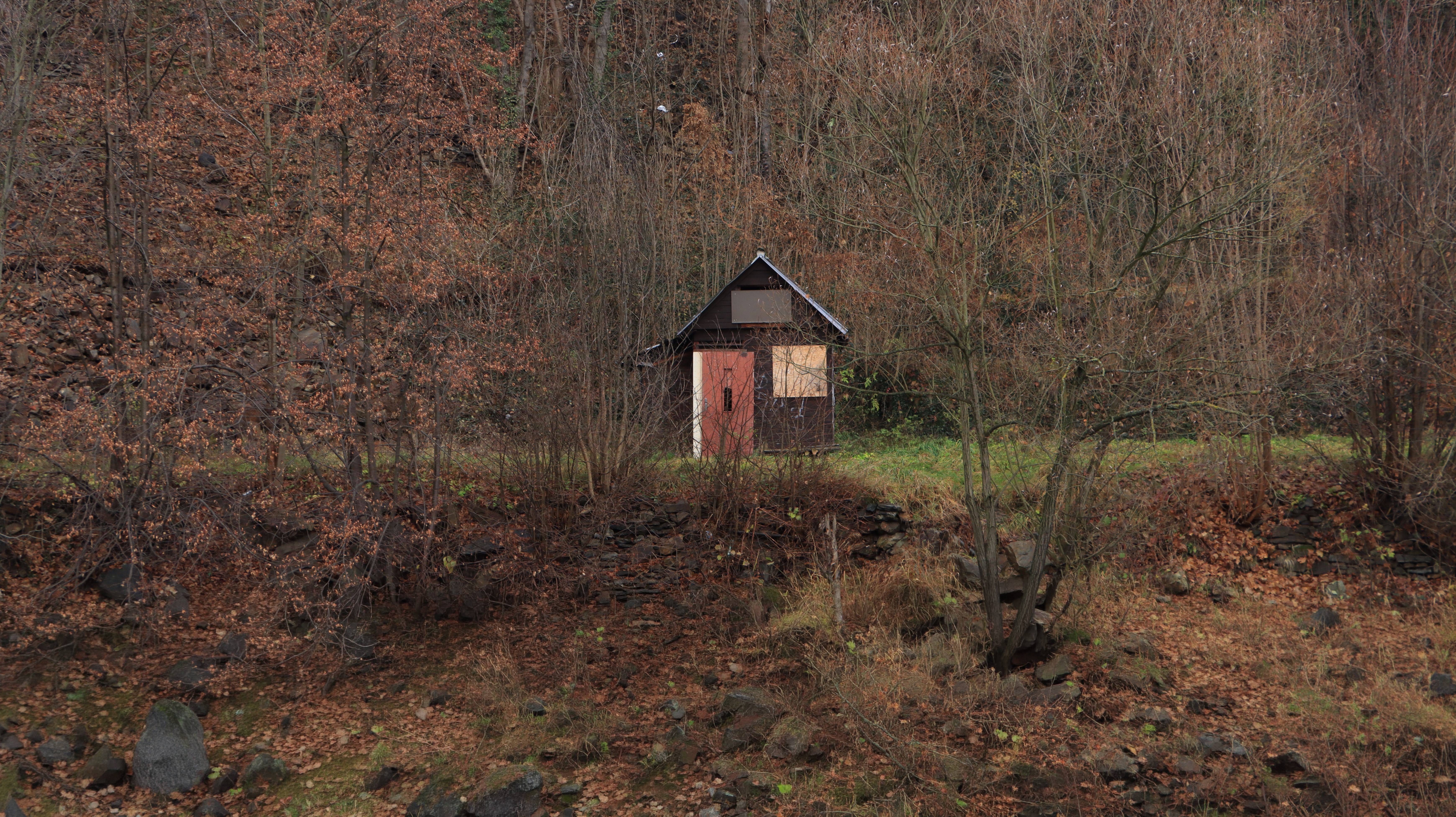 A small isolated wooden cabin in bare winter woods.