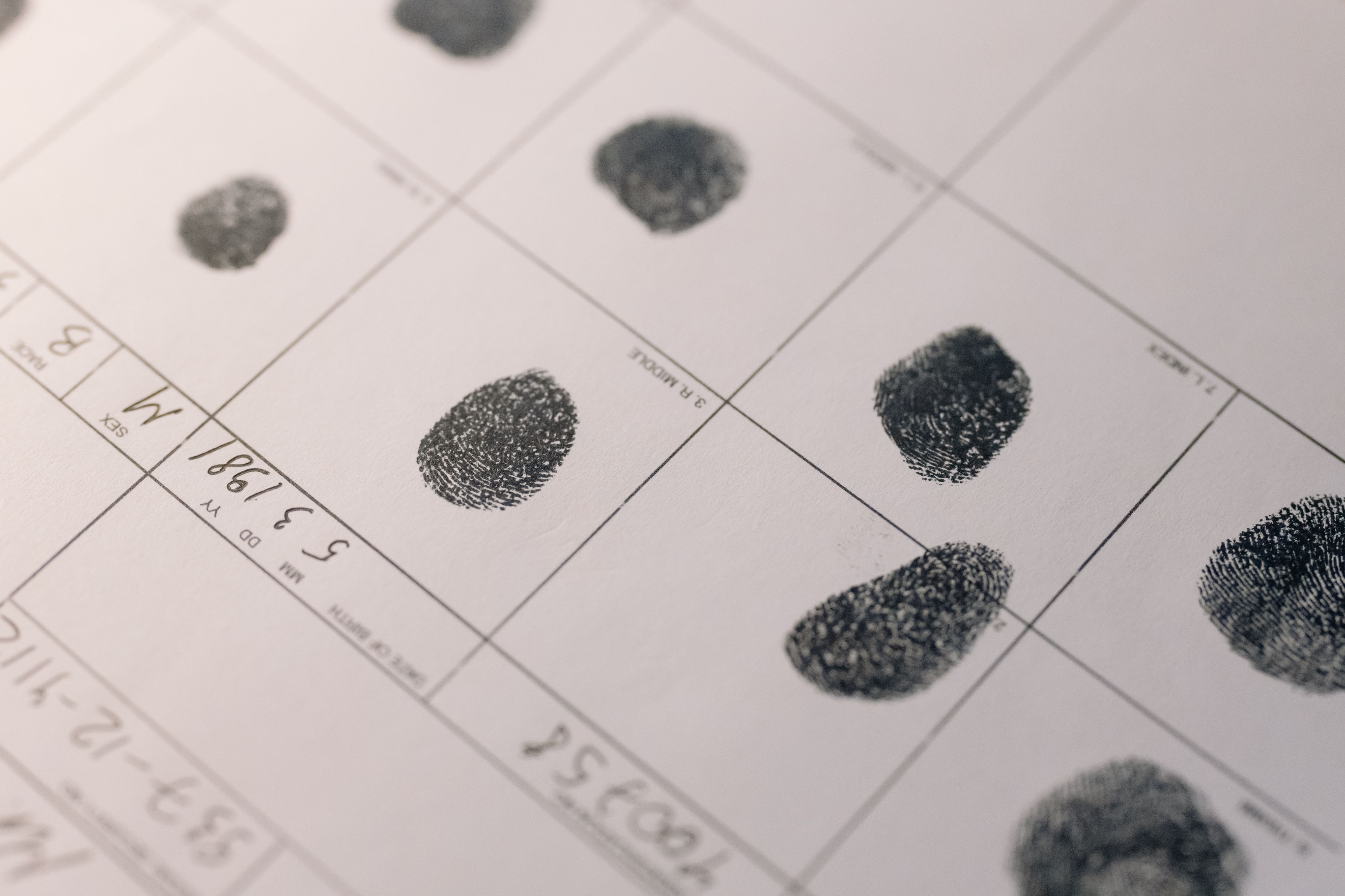 Extreme close-up of a human fingerprint.